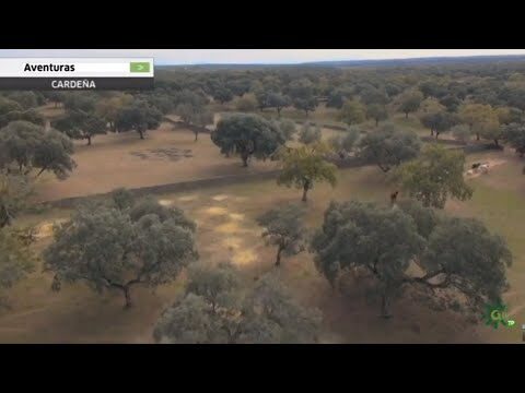 Guía de Compras: Productos de Belleza Naturales en Solana del Pino