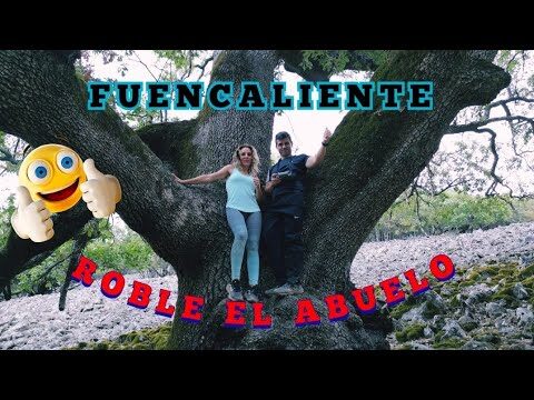 Mejores Rutas de Ciclismo de Montaña Cerca de Fuencaliente