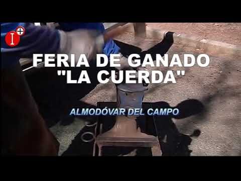 Eventos Gastron&oacute;micos en Almod&oacute;var del Campo