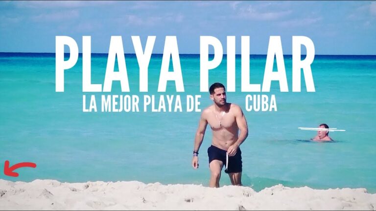 Playas para Perros Cerca de Aldea del Rey