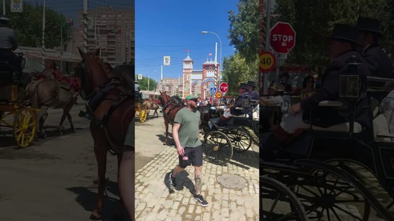 Ambiente en las Plazas de Fuencaliente: Un Análisis Exhaustivo