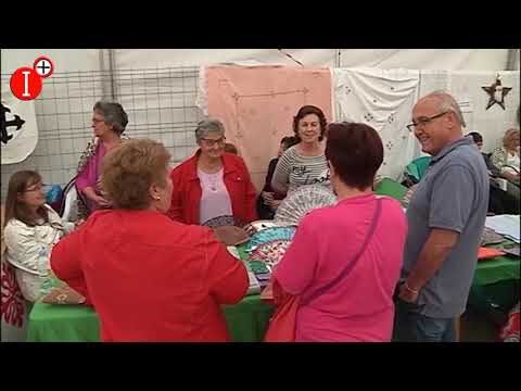 Asociaciones Culturales en Argamasilla de Calatrava