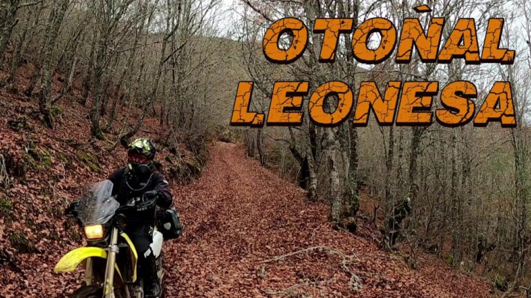 Actividades Imperdibles en Solana del Pino Durante el Otoño