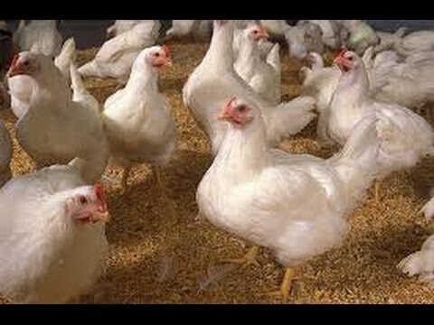 Mejores lugares para cursos de costura en Aldea del Rey