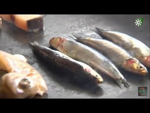 Los Mejores Restaurantes de Mariscos en Calzada de Calatrava