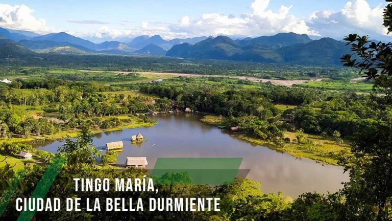 Deportes extremos cerca de Aldea del Rey: Gu&iacute;a de aventuras